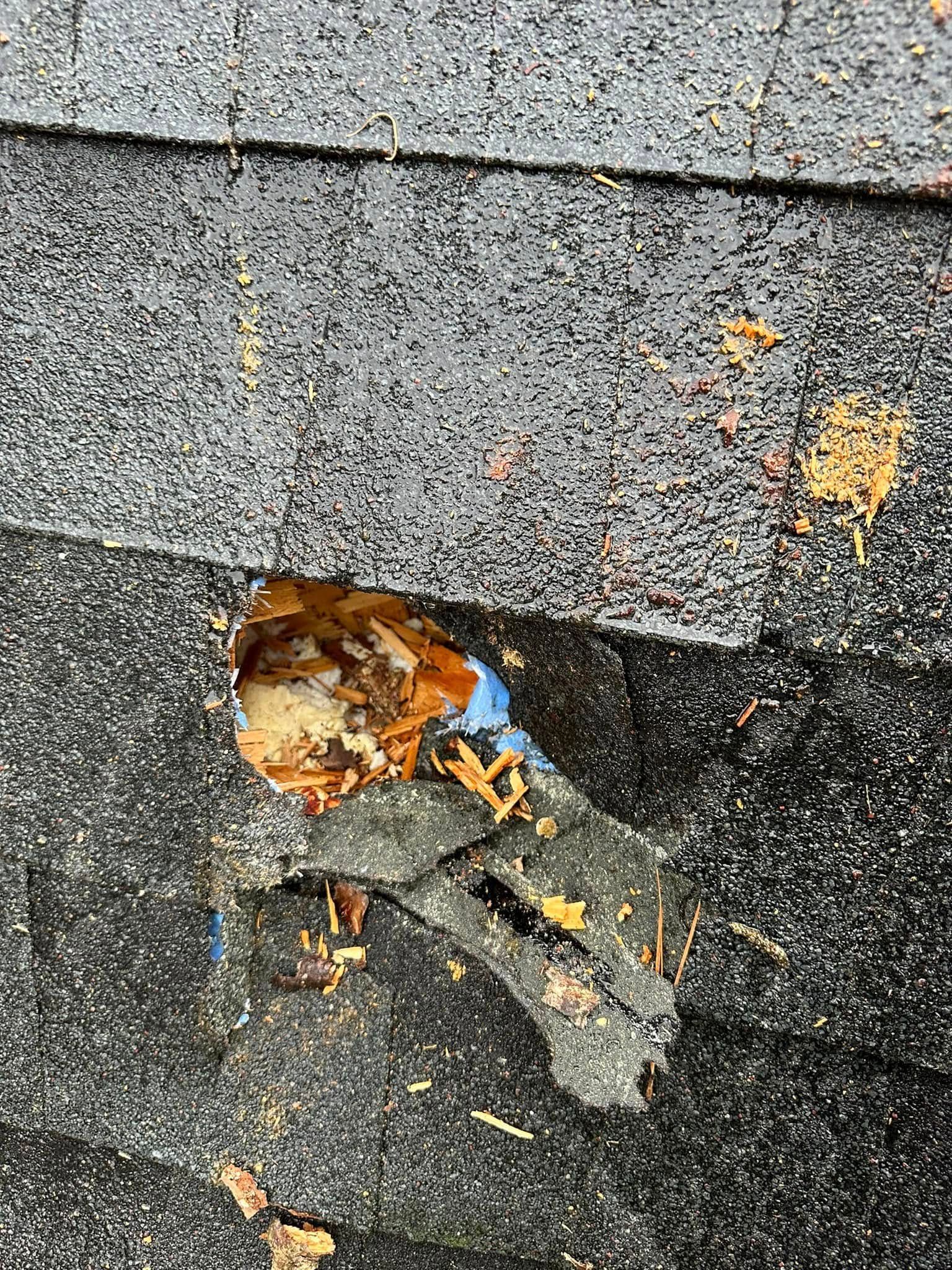 Damaged asphalt roof shingle with a hole revealing the underlying wooden roof structure.