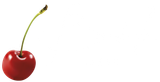 logo Brida Spose