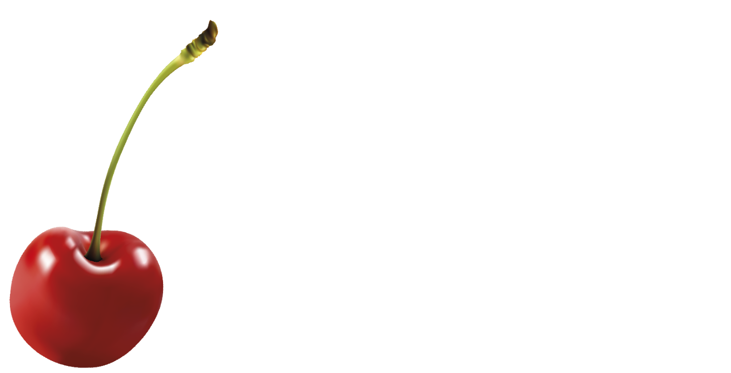 logo Brida Spose