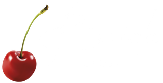 logo Brida Spose