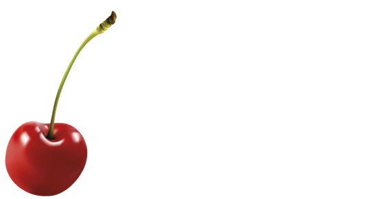 logo Brida Spose