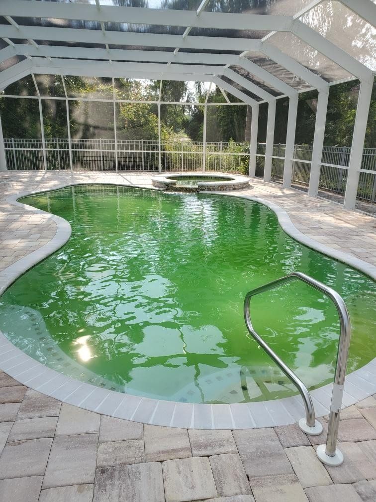 Before Pool Cleaning — St. Augustine, FL — Alegro Pool Care