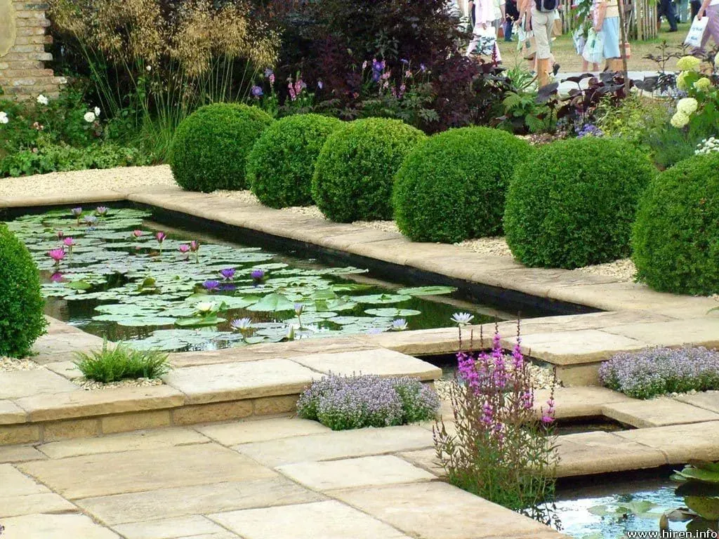 A garden with a pond surrounded by bushes and flowers.
