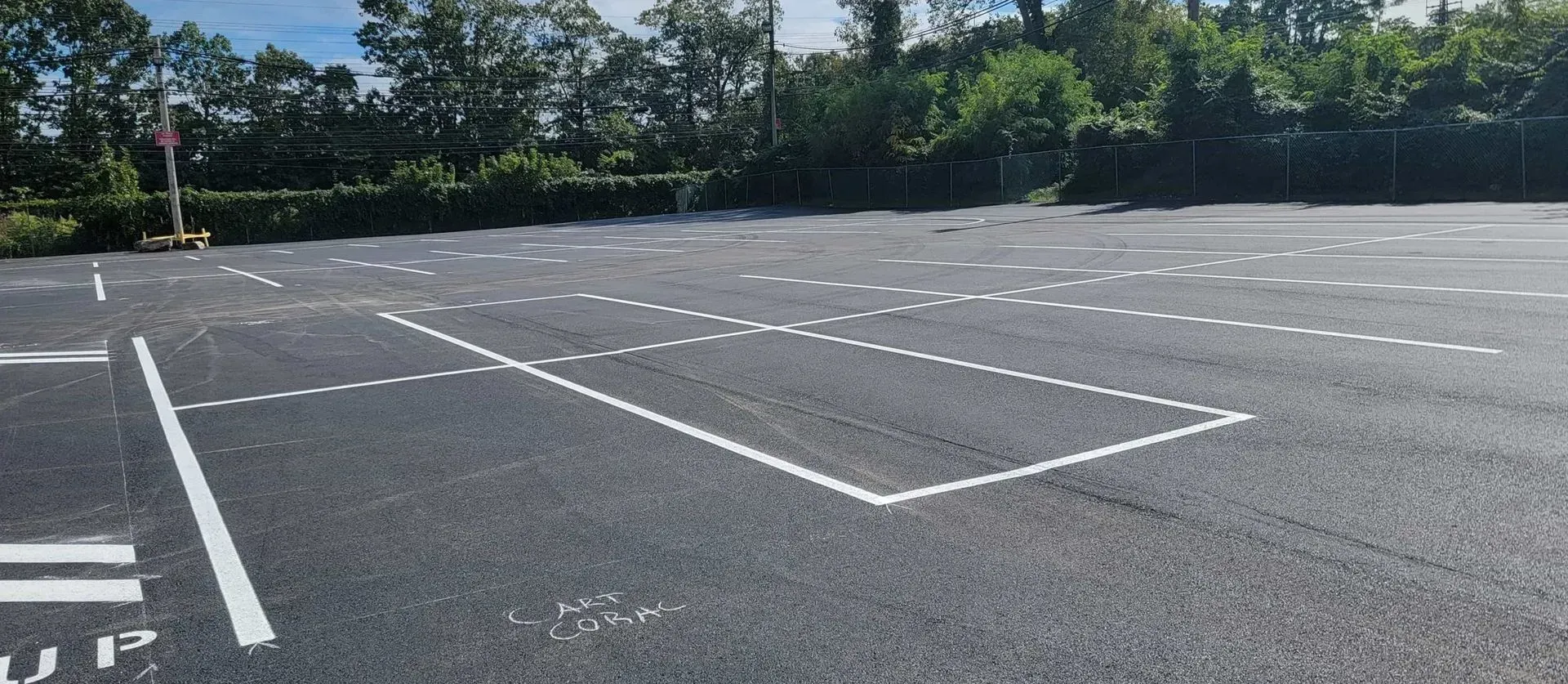 A parking lot with white lines on it and trees in the background.