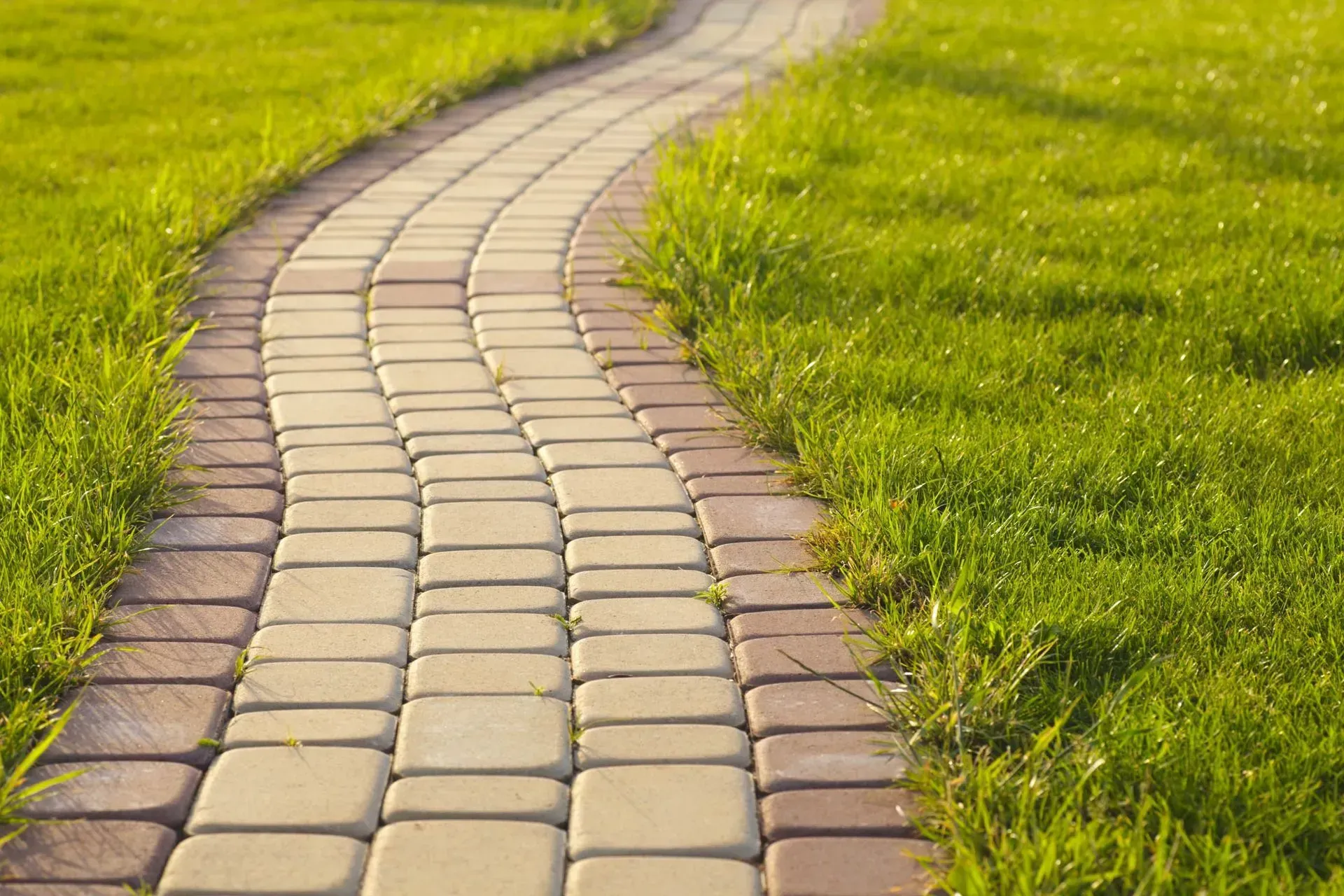A brick walkway going through a grassy field.
