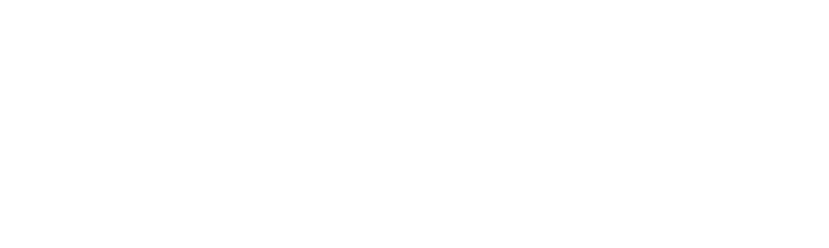NYSIDI logo