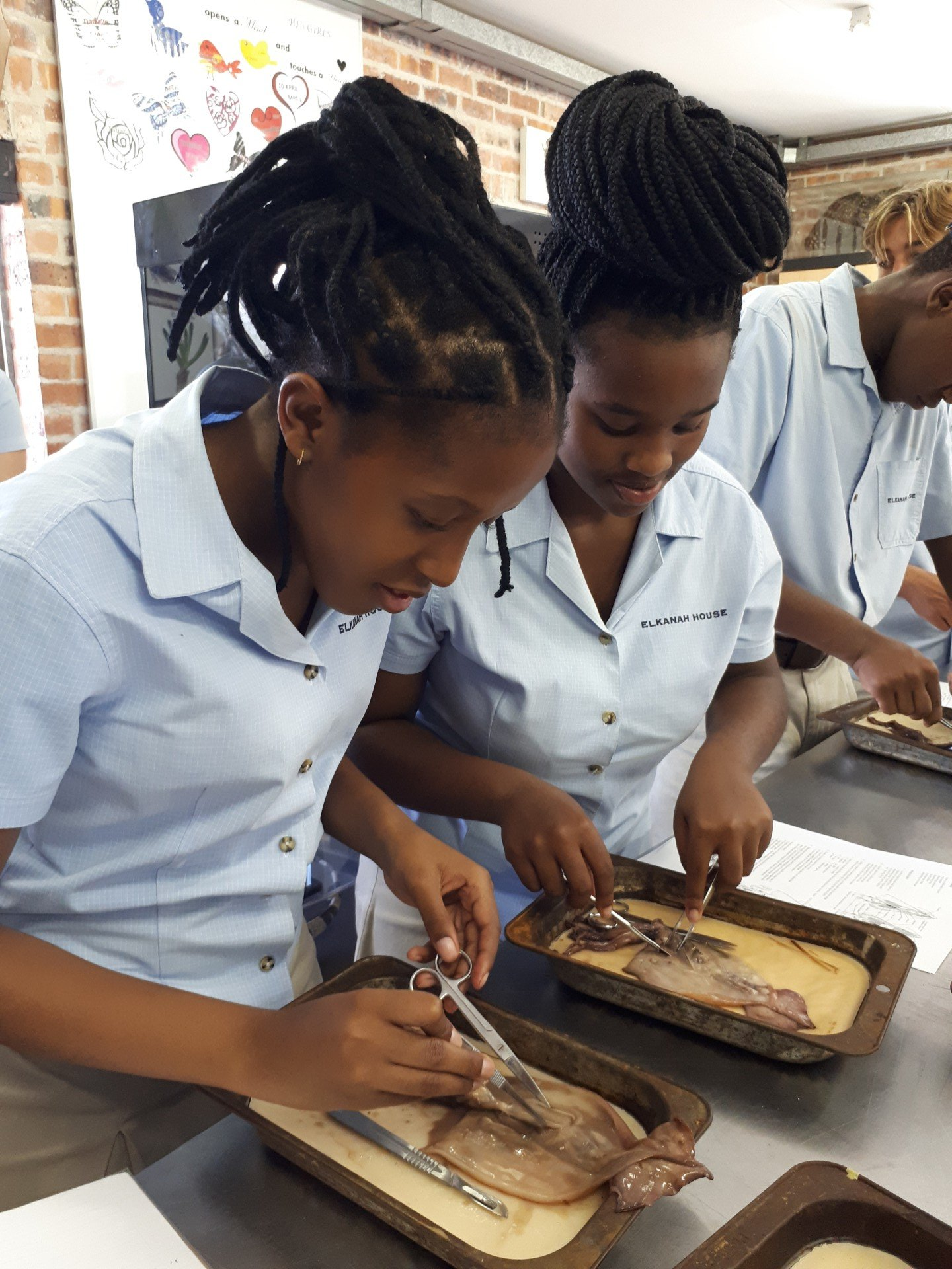 a group of young girls are dissecting something in a lab