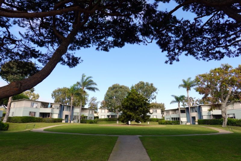 A residential area with lots of trees and grass
