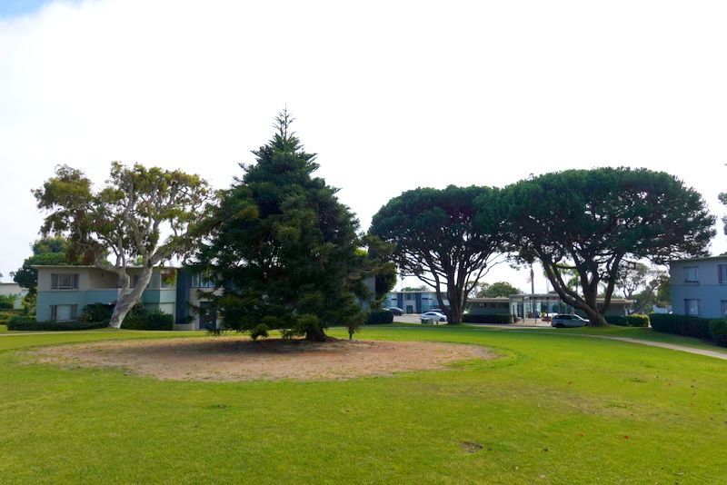 A lush green field with trees and houses in the background