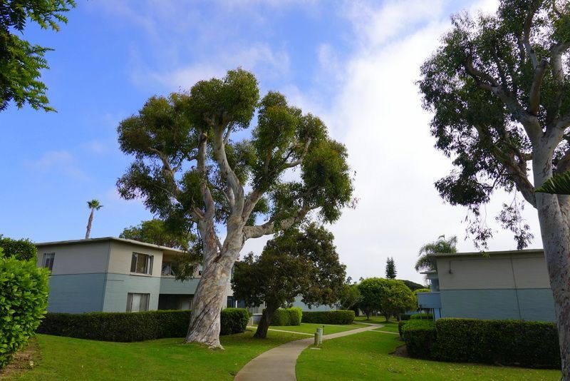 A row of houses with trees in front of them