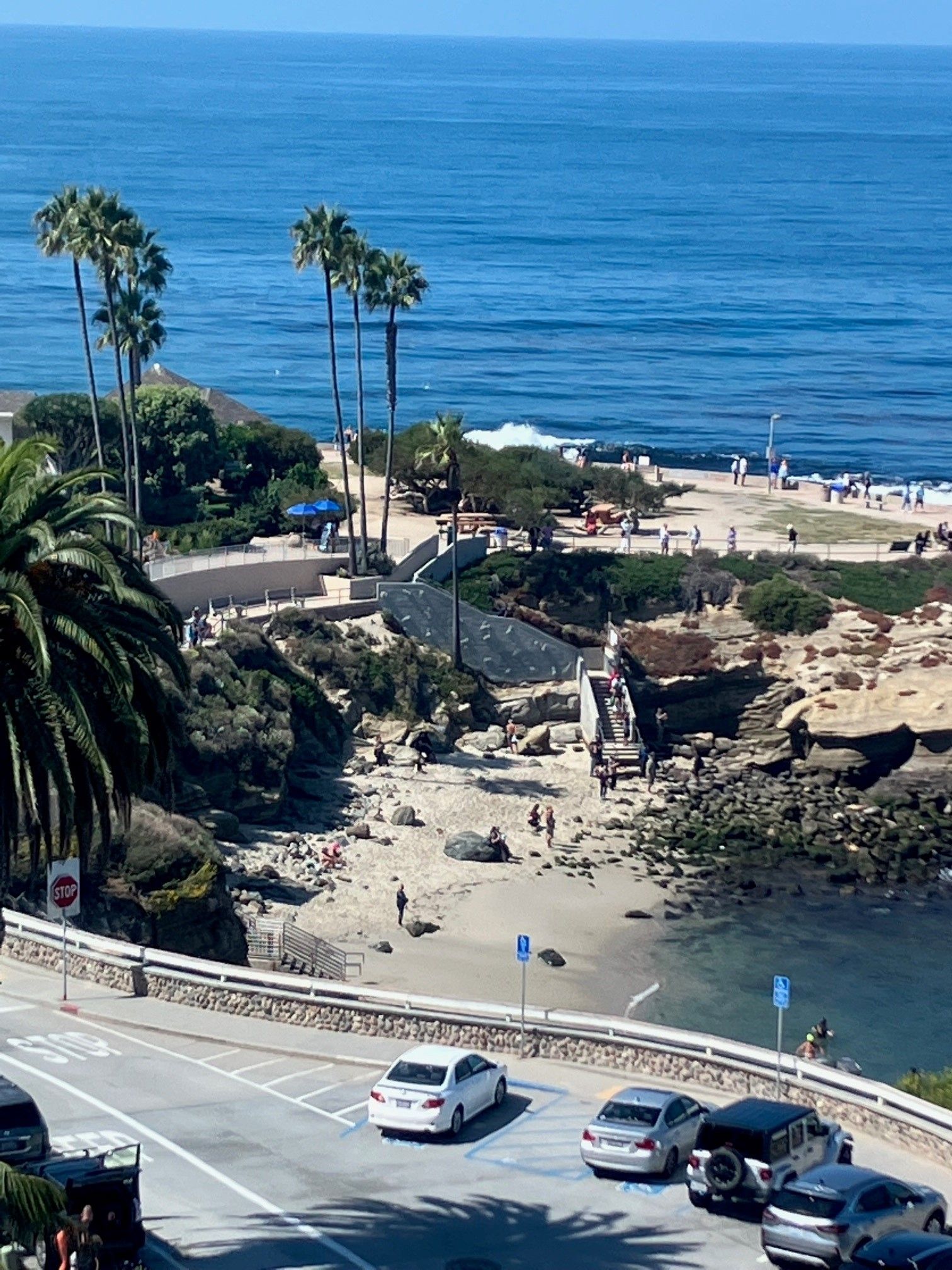 Cars are parked on the side of the road near the ocean