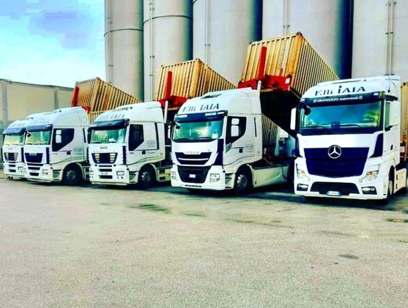 F.lli Iaia road transport fleet