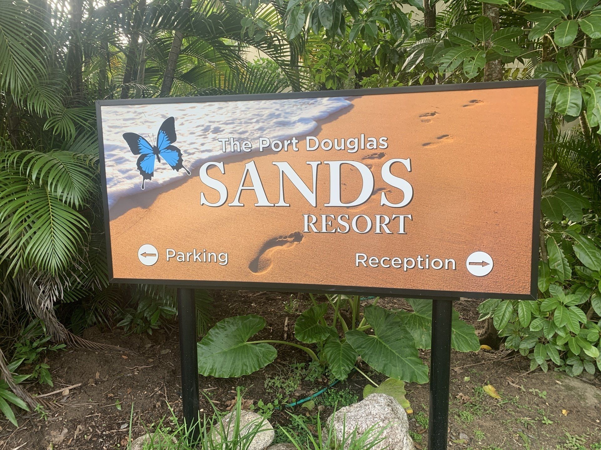 Blank Street Billboard At Night City — Quality Printing In Port Douglas, QLD