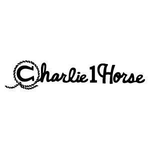 Charlie 1 Horse