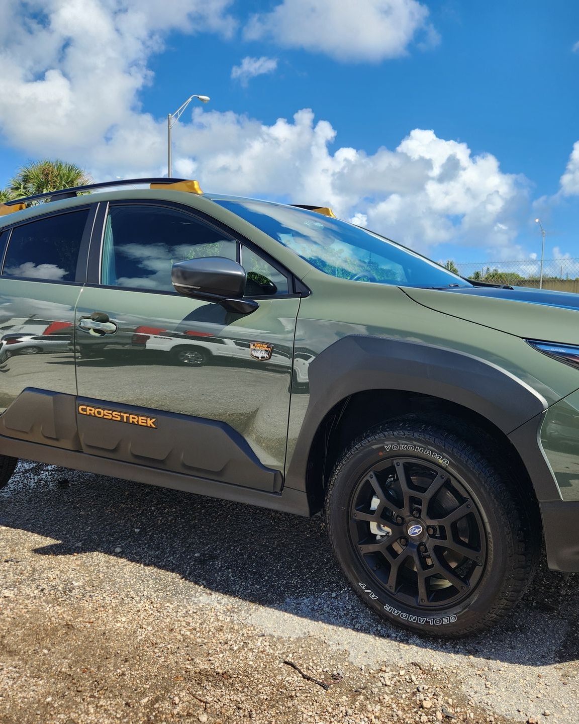 A person wearing black gloves is polishing a black car
