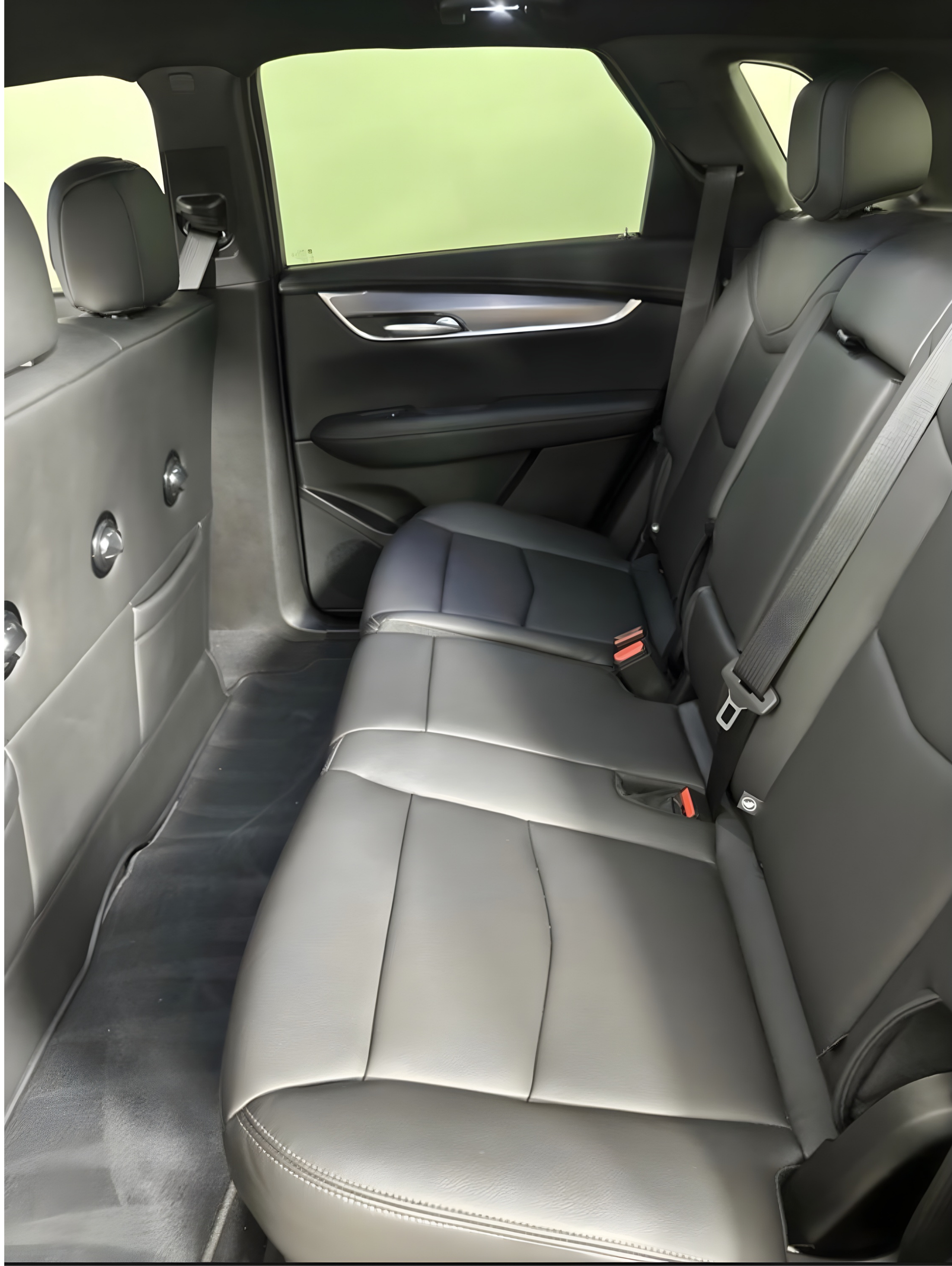 Black leather back seats inside a car with a green background visible through the window.