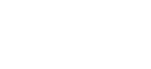 Coastal Limousine & Transport LLC Logo