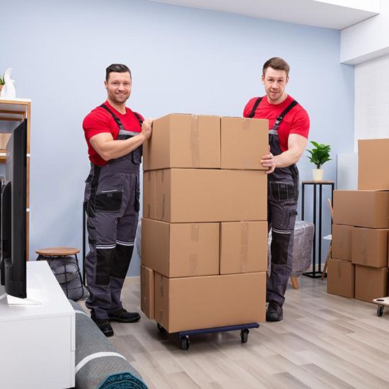 Choose The Best Movers & Packers
