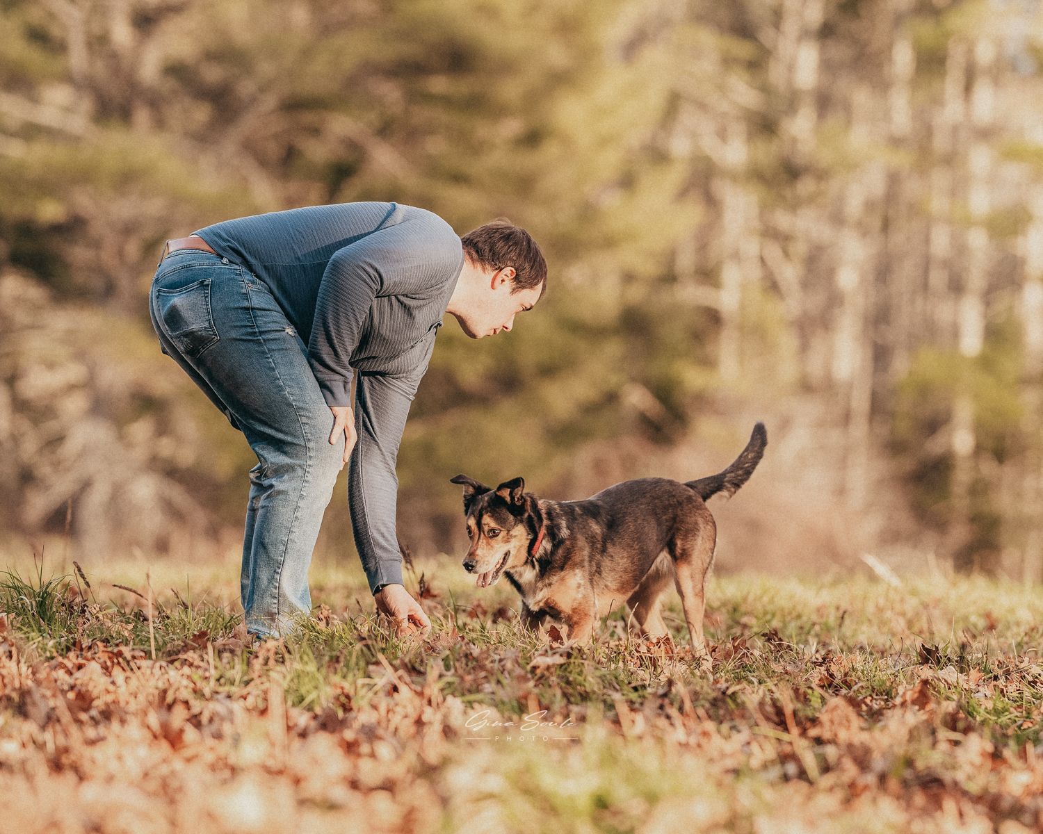 Man in blue shirt and jeans reaching for dog in field; dog looks at man.