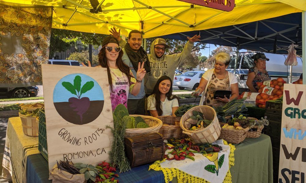 Four people pose at a farmers market booth for 