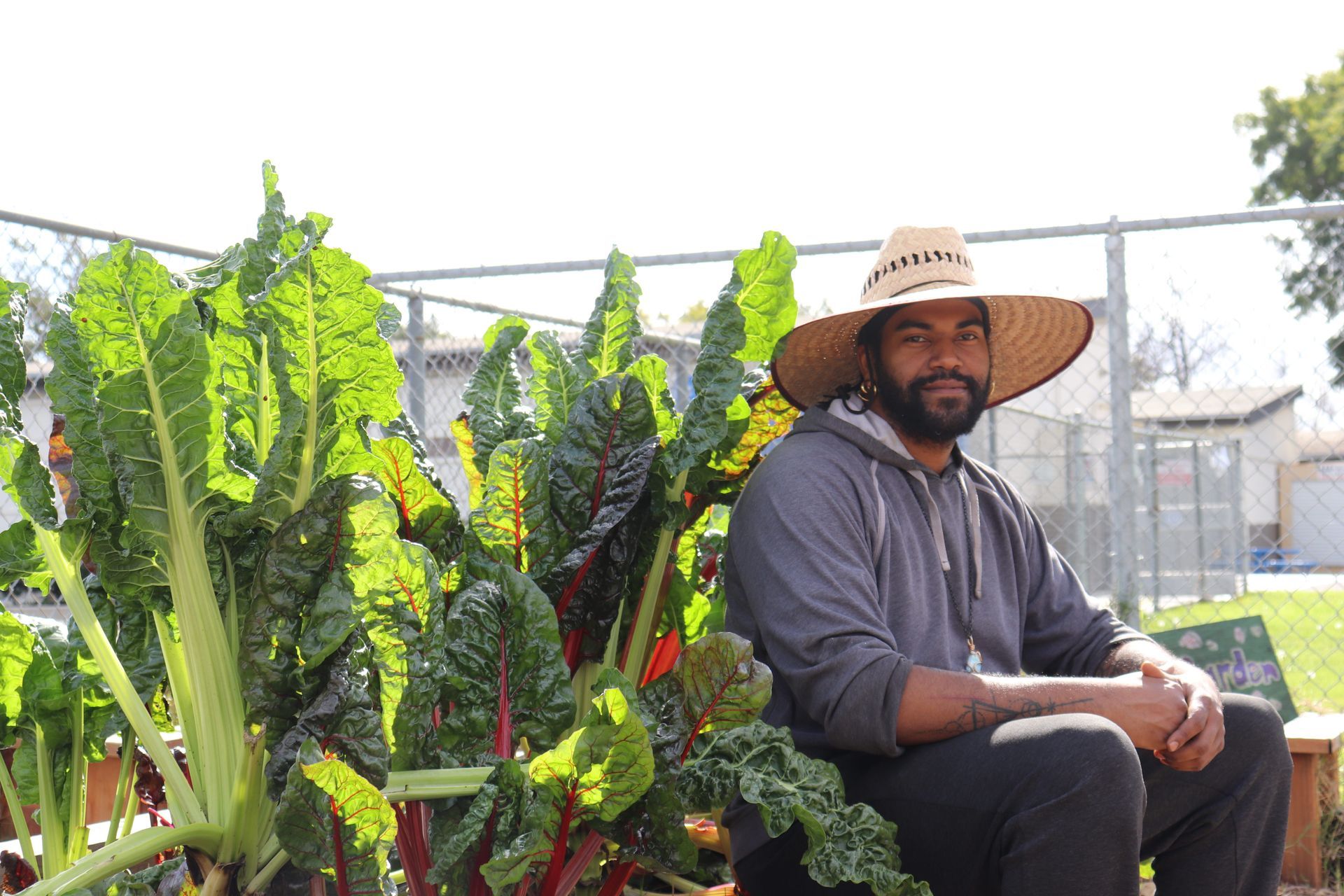 A person wearing a wide-brimmed straw hat sitting in a garden next to large, leafy Swiss chard plants.
