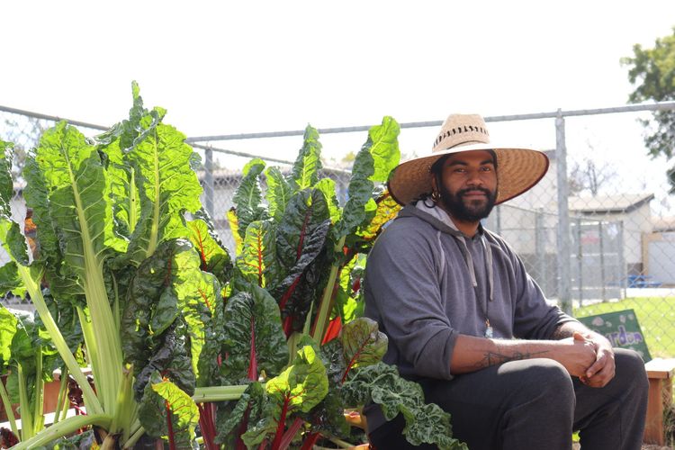 A person wearing a wide-brimmed straw hat sitting in a garden next to large, leafy Swiss chard plants.