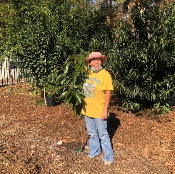 A person in a yellow t-shirt and pink sun hat stands in a garden next to a small, leafy tree.
