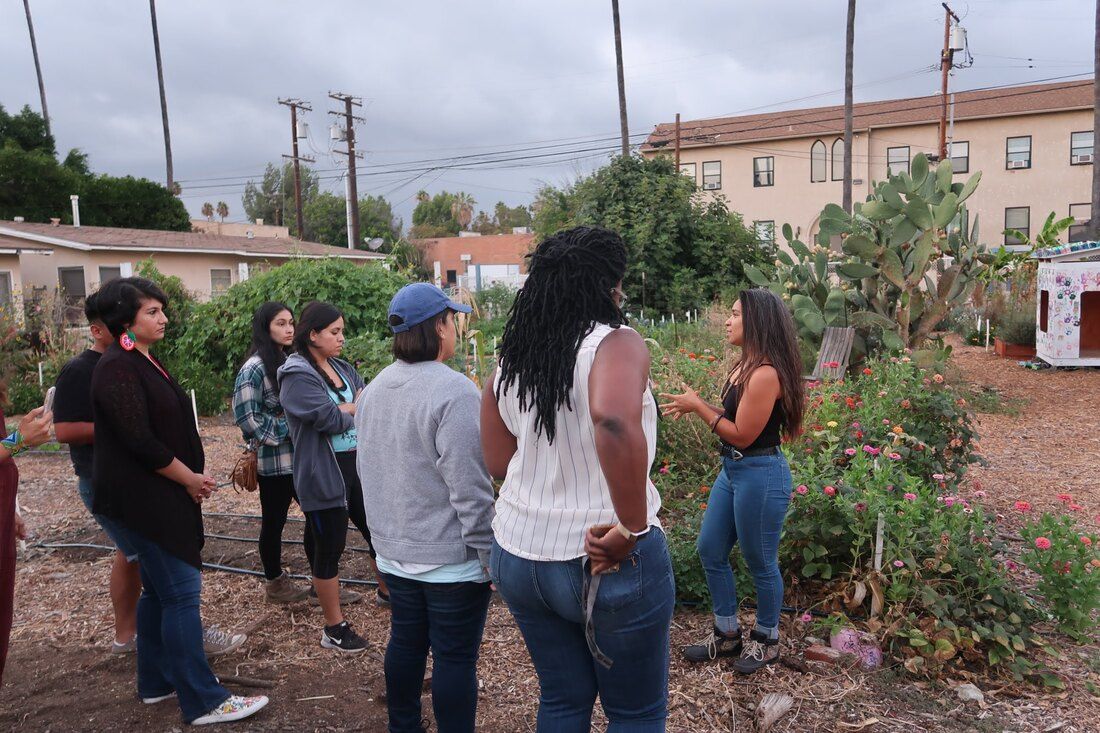 A group of people standing in a community garden while one person speaks to them outdoors on an overcast day.