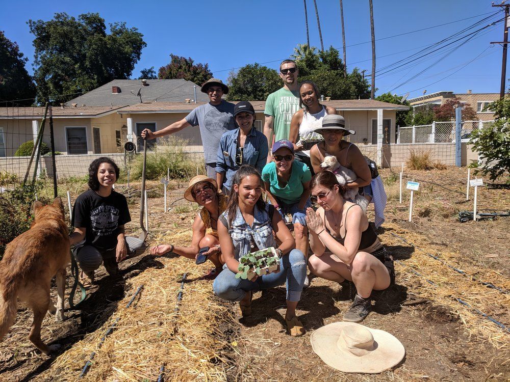 A group of people poses in a community garden, some kneeling and holding plants, with a dog standing to the left.