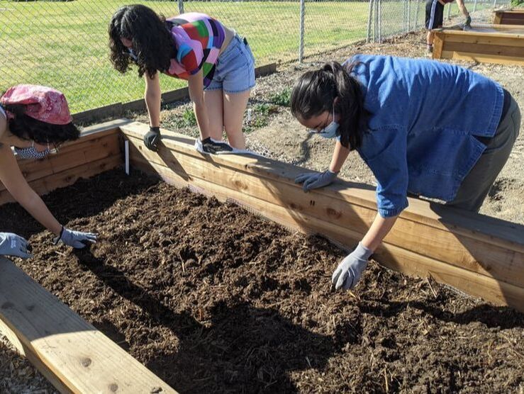 Three people wearing gloves work together to prepare soil in a wooden raised garden bed outdoors.