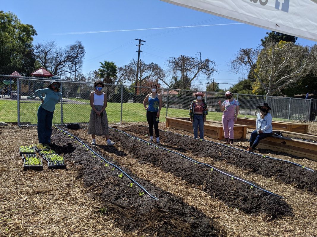Six people stand in a line in a sunny community garden behind rows of soil beds with drip irrigation and plant starts.