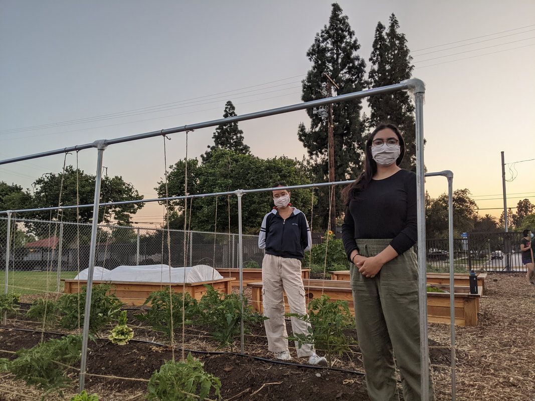 Two people stand in a community garden next to a metal plant trellis at sunset.