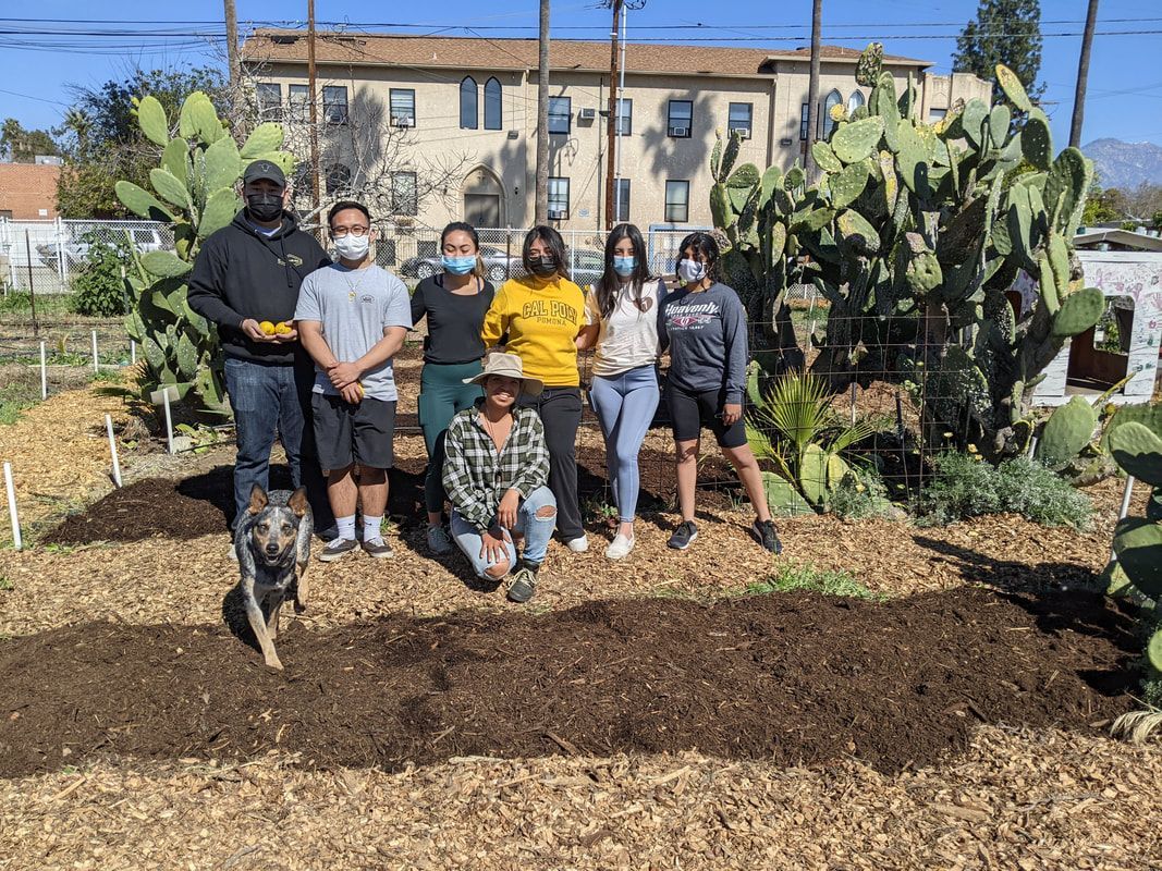 A group stands in a garden with mulch and large cacti, with a building in the background and a dog in the foreground.