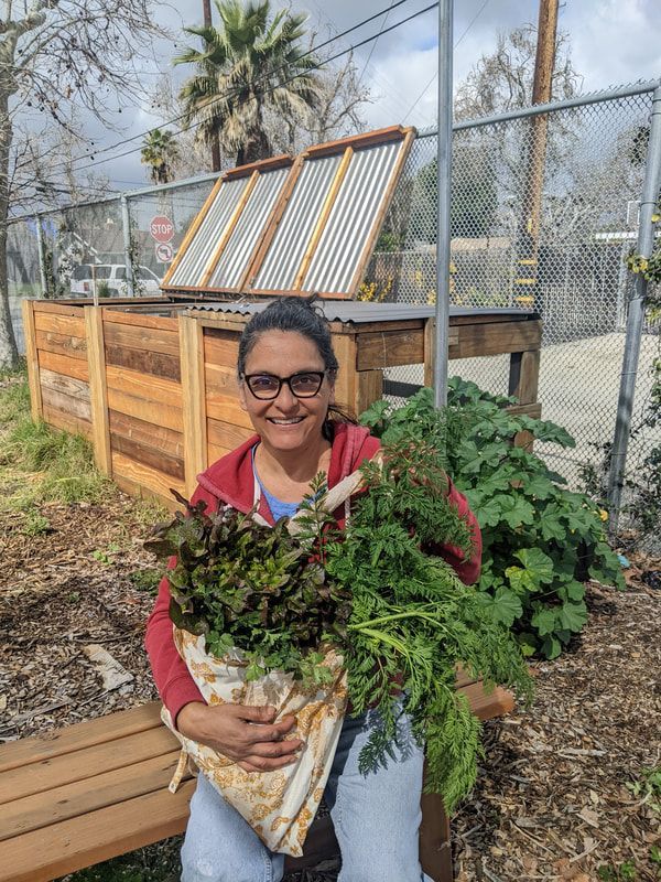 A person smiling while holding a large bag of freshly harvested greens in a garden with a wooden composting bin.