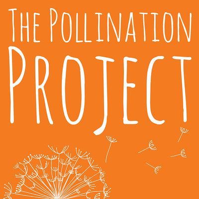 The Pollination Project logo: white text and line drawings of dandelion seeds on a solid orange background.