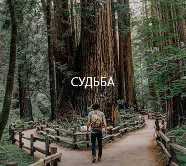 picture for christ transforming culture