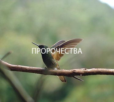 kingdom prosperity image