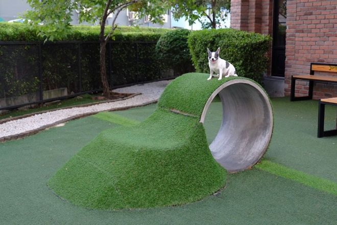 fake grass for dogs