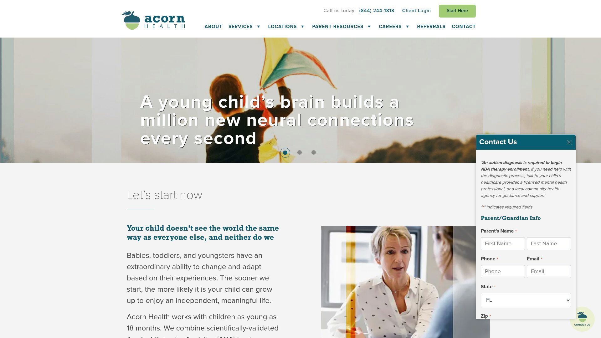 Website homepage with text and a form. Kite in the background.