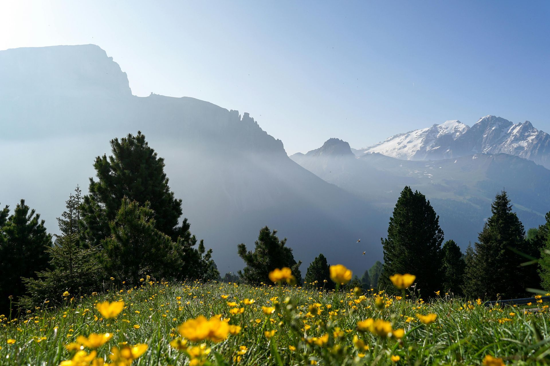 Snow-covered trees in a winter landscape with a blue sky.