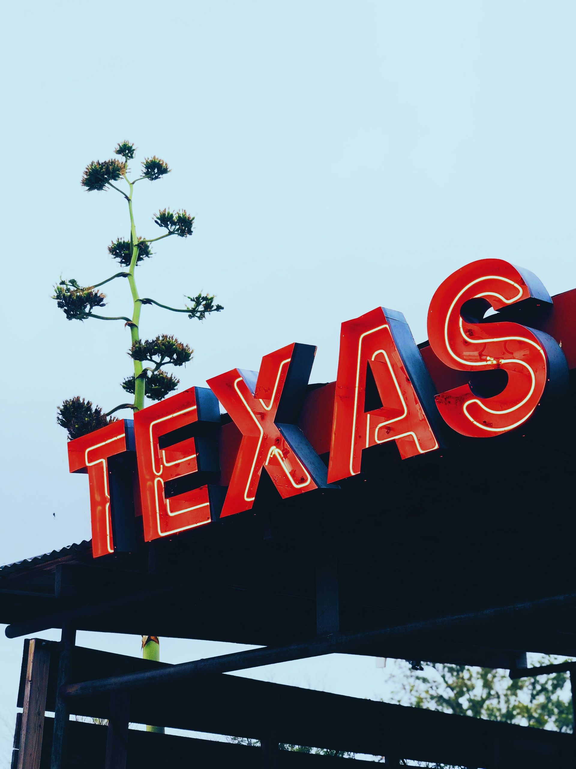 A texas sign with a plant growing out of it