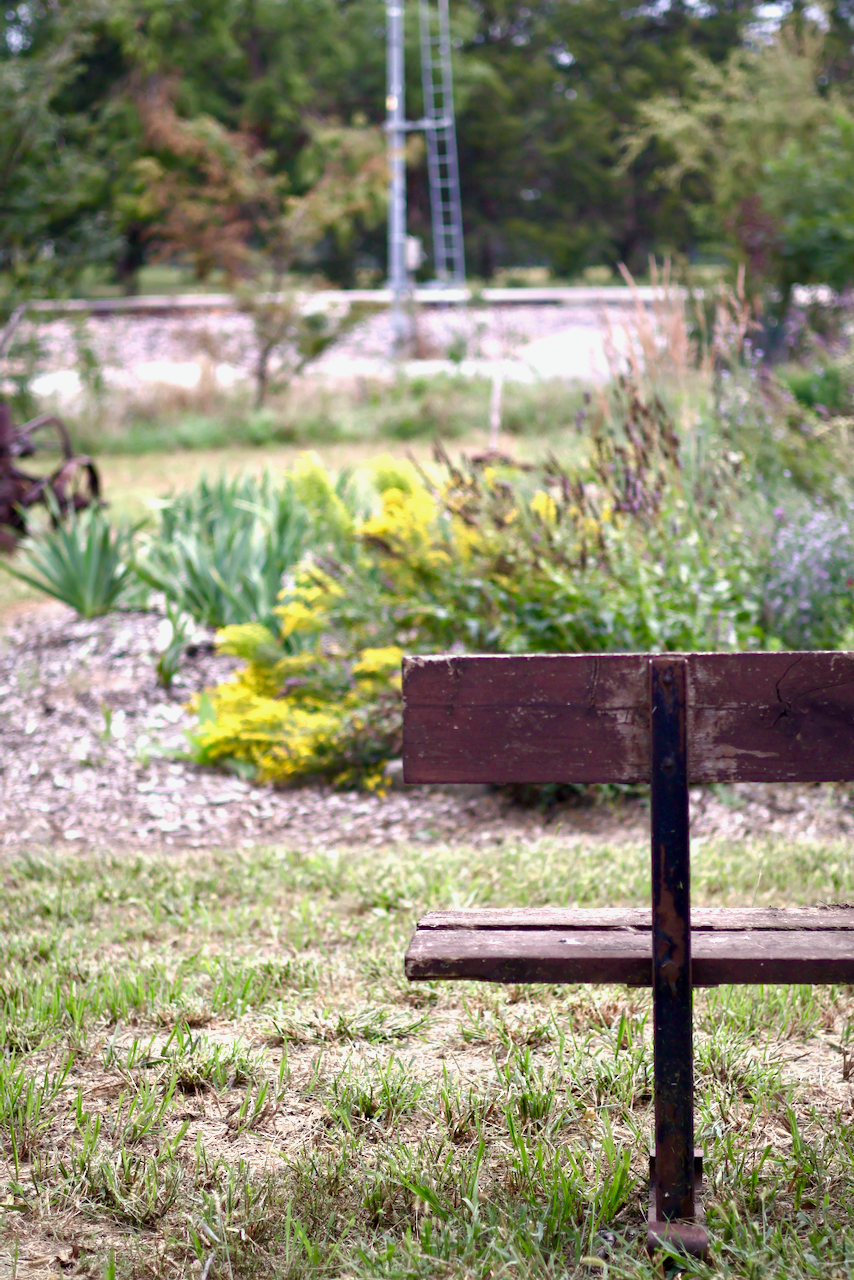 Wooden bench in a grassy area with a garden, a metal structure, and foliage in the background.