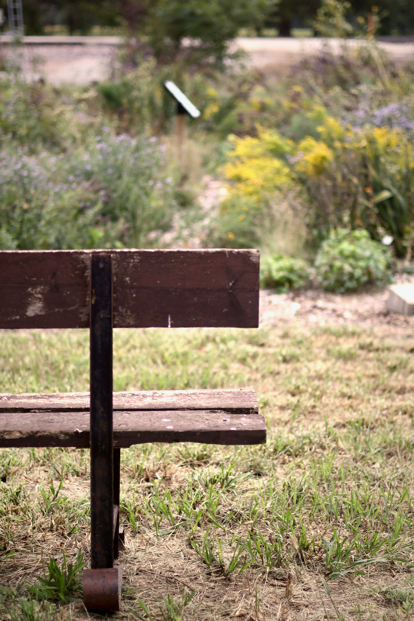 A weathered park bench with wildflowers in the background.