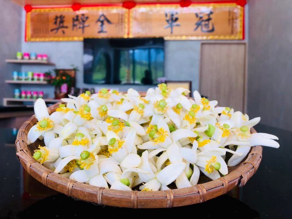 清風茶行友善無毒柚花茶 112.5g