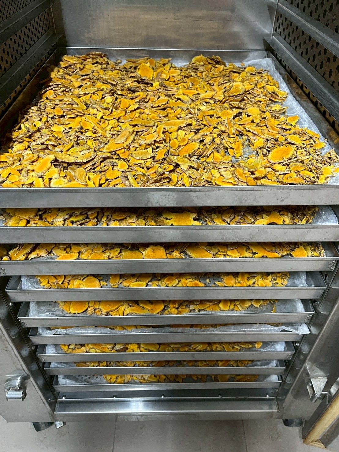 四季福薑-黃薑黃粉