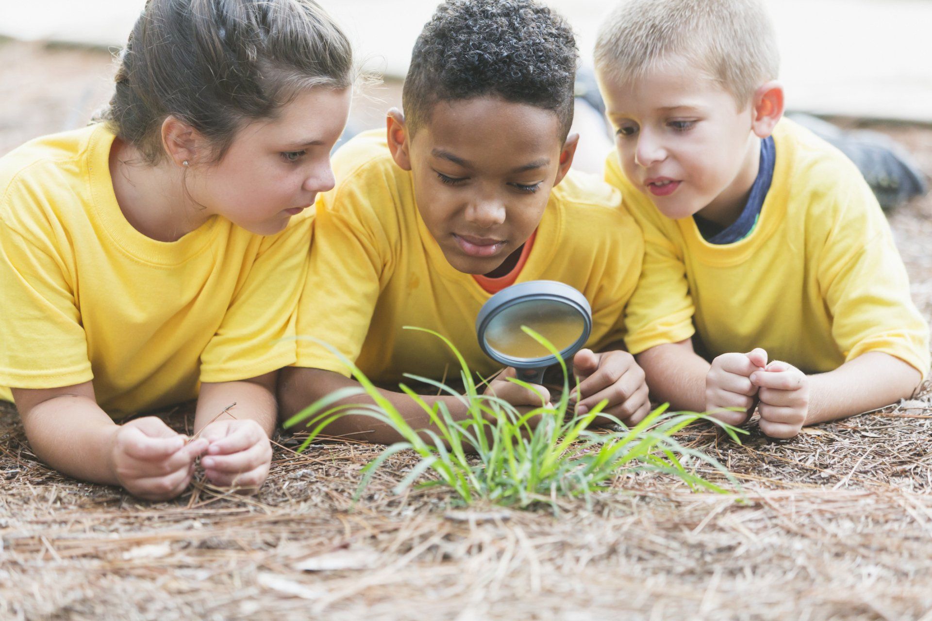 Kids Looking Through Magnifying Glass — Tuscaloosa, AL — Tender Loving Care