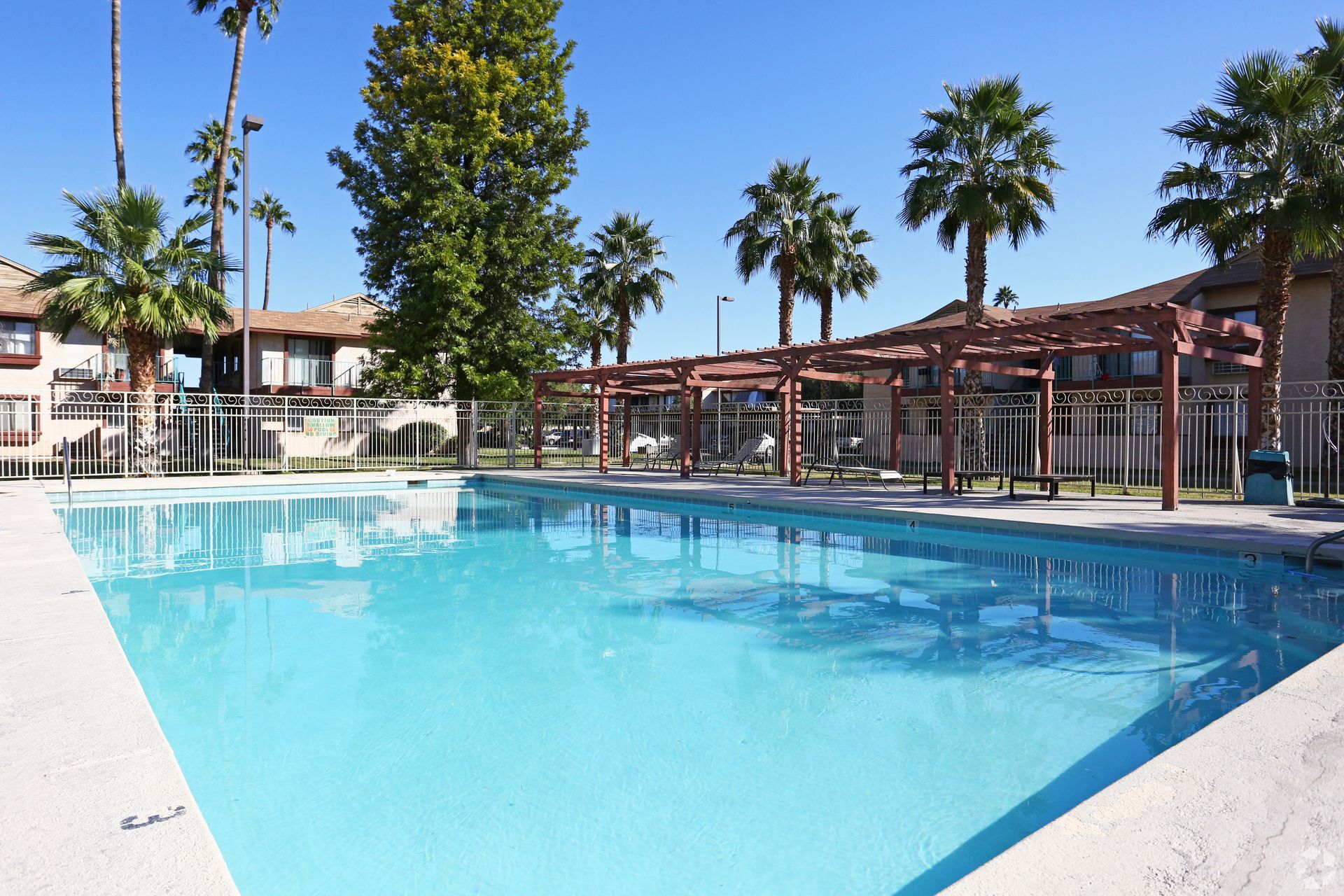 A swimming pool at an apartment complex with palm trees and a sunny sky.