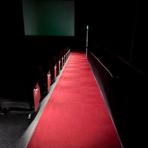 A long red carpet leading to a screen in a theater
