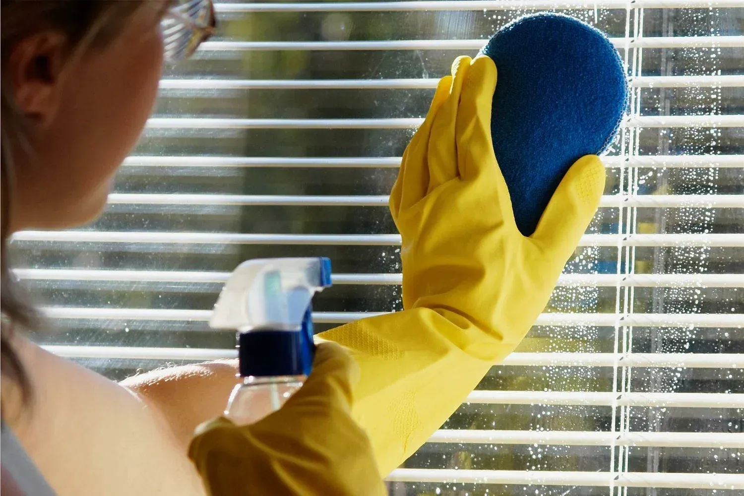 Lafayette Window Cleaner