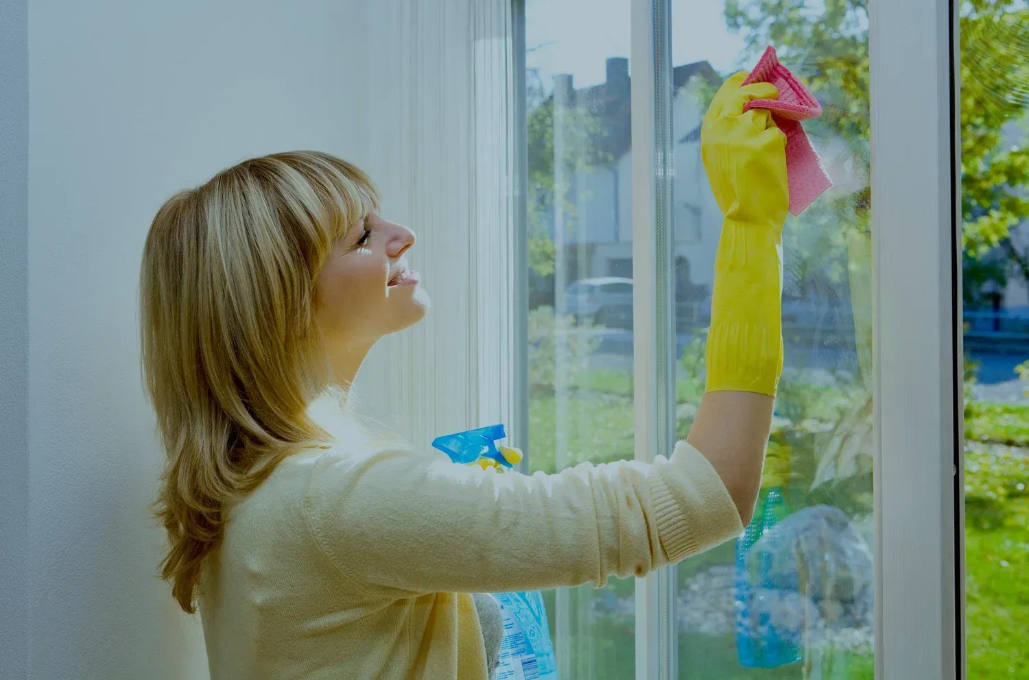 Lafayette Window Cleaner 
